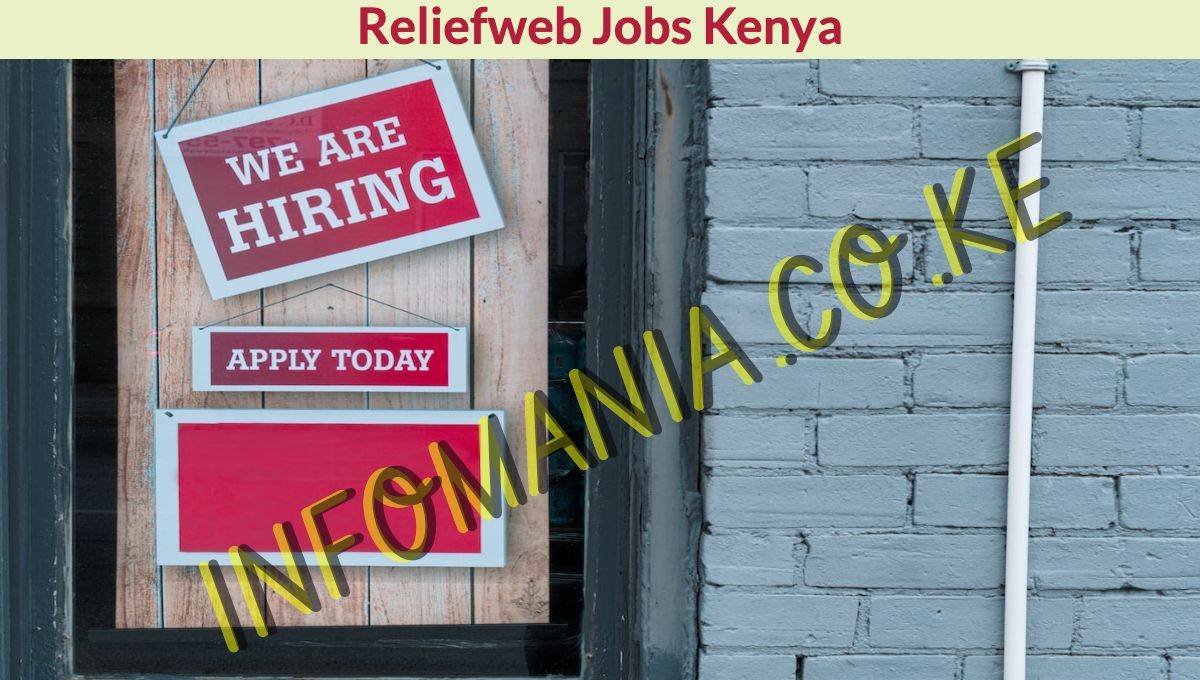 reliefweb jobs kenya