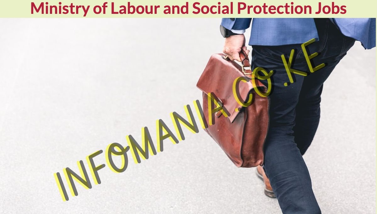 www.socialprotection.go.ke jobs