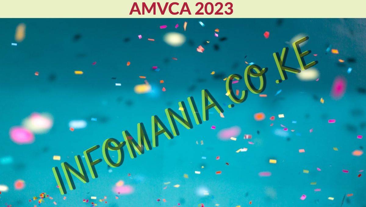 amvca 2023 live