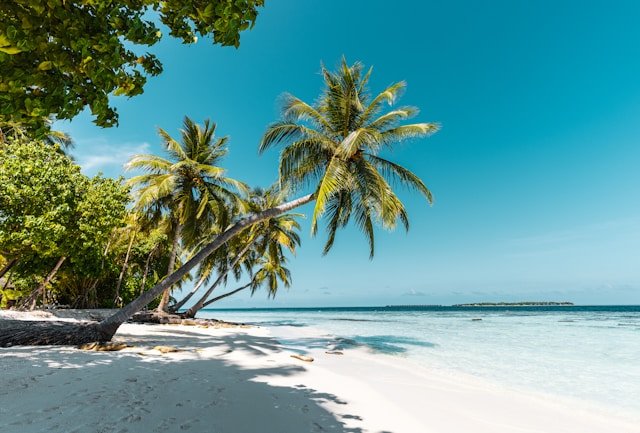 Diani Beach Hotels Prices
